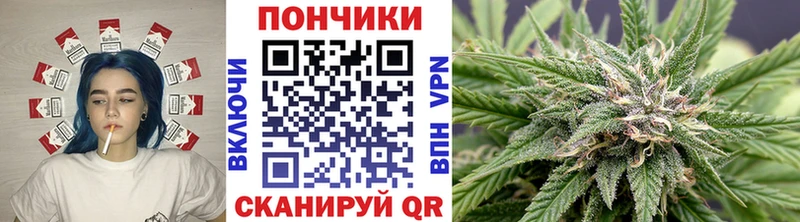 Канабис Bruce Banner  Бузулук 